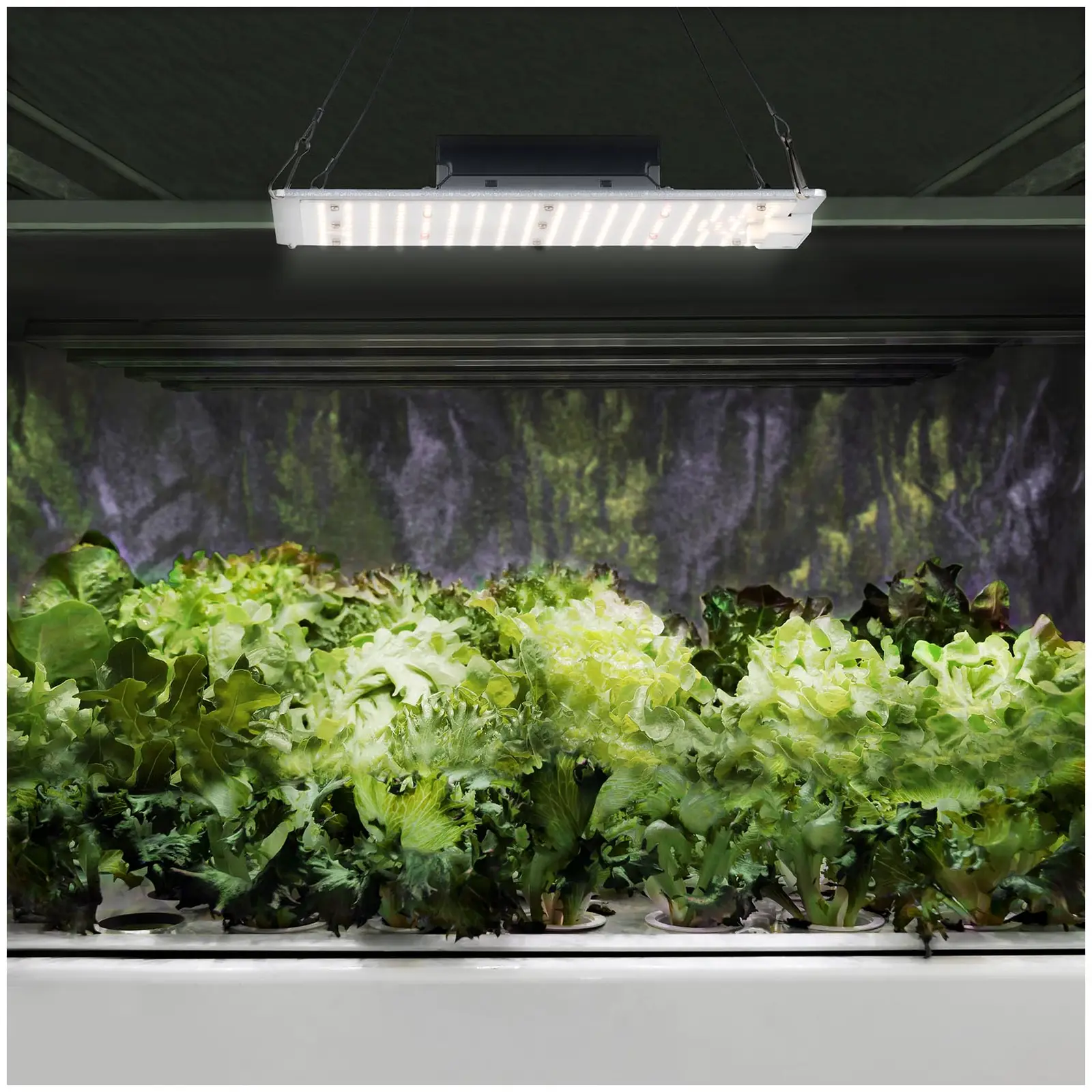 LED osvetlenie na pestovanie rastlín - celé spektrum - 1 000 W - 234 LED - 10 000 lumenov