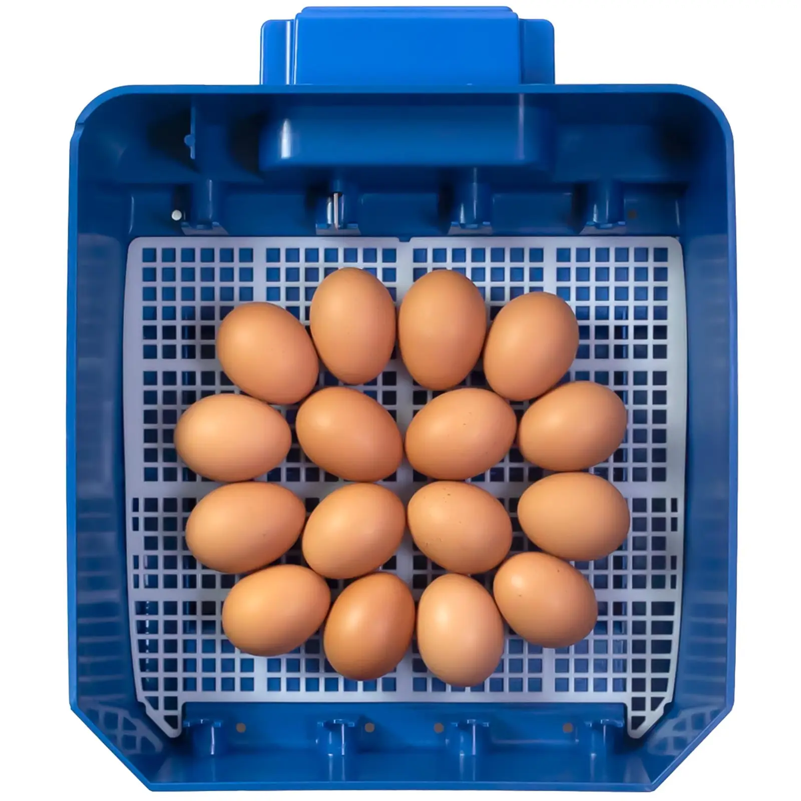 Umelá liaheň - 16 vajec - vrátane zvlhčovacieho systému - plná automatika - antimikrobiálna ochrana